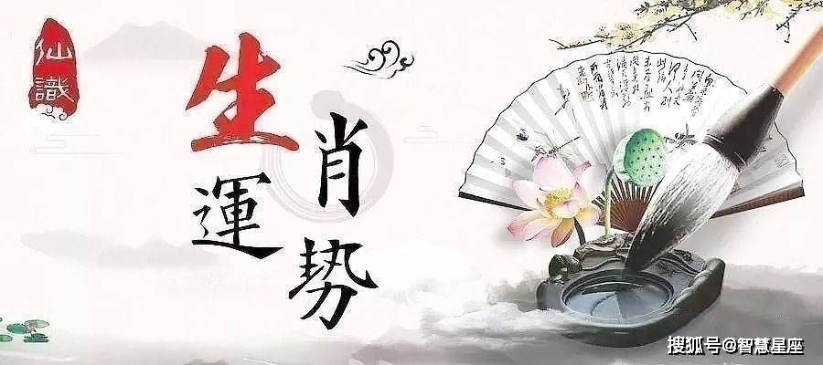 柳暗花明，神駿宜追，月圆花好春有青打一最佳生肖请全面释义、解释与落实、定量解答解释落实
