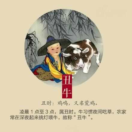 风吹日晒打一正确生肖的全面释义、解释与落实、定量解答解释落实